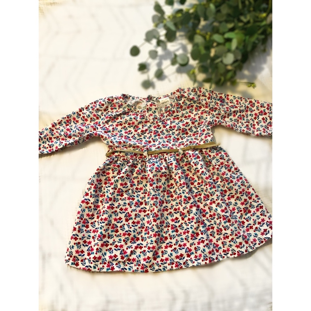 Floral Suede Belted Baby Dress